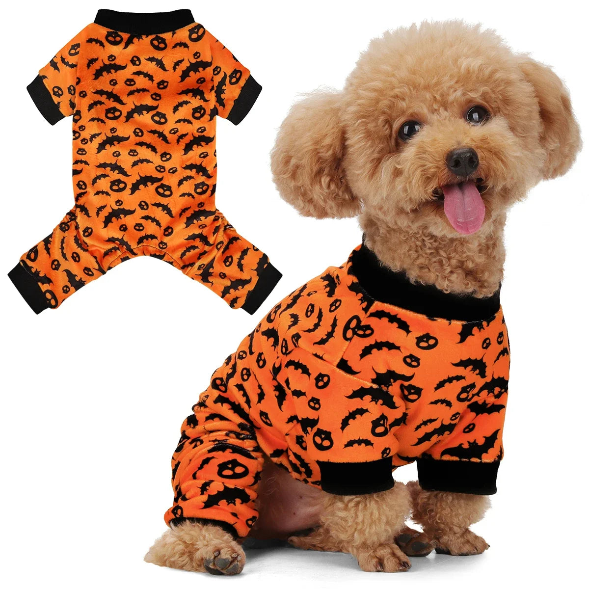 Halloween dog collection