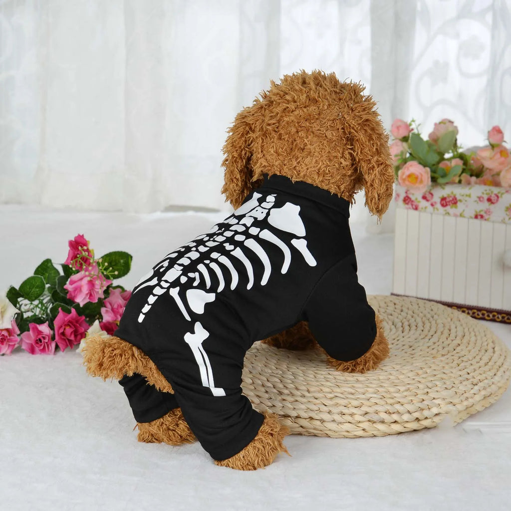 Halloween Dog Costume