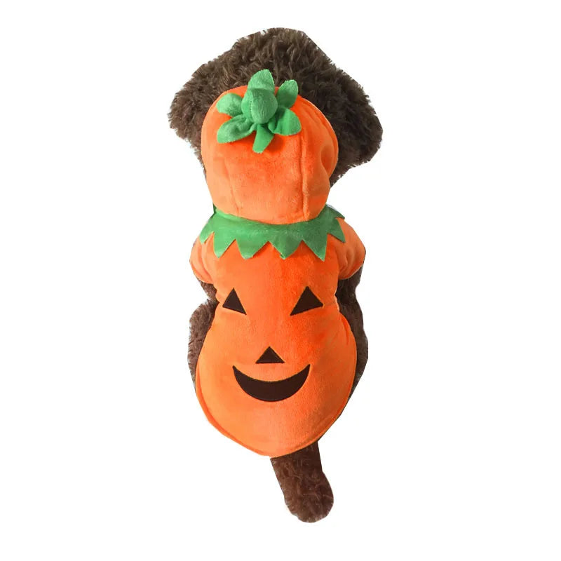 Halloween Pumpkin Dog Hoodie