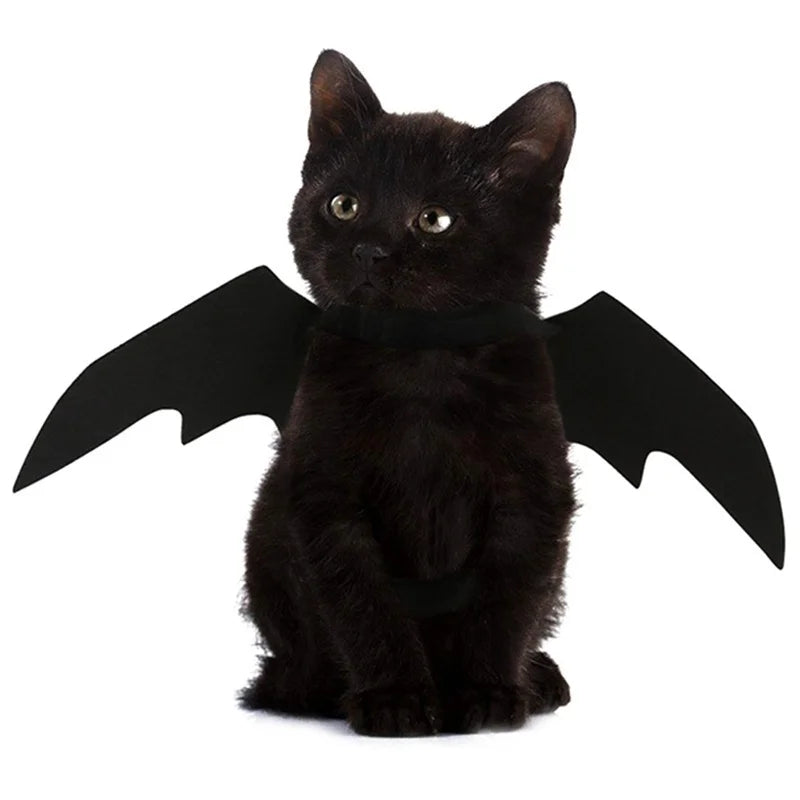 Halloween Bat Wings for Dogs