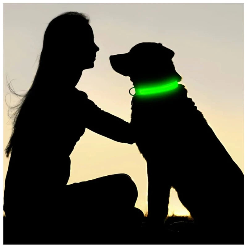 LED Light-Up Dog Collar