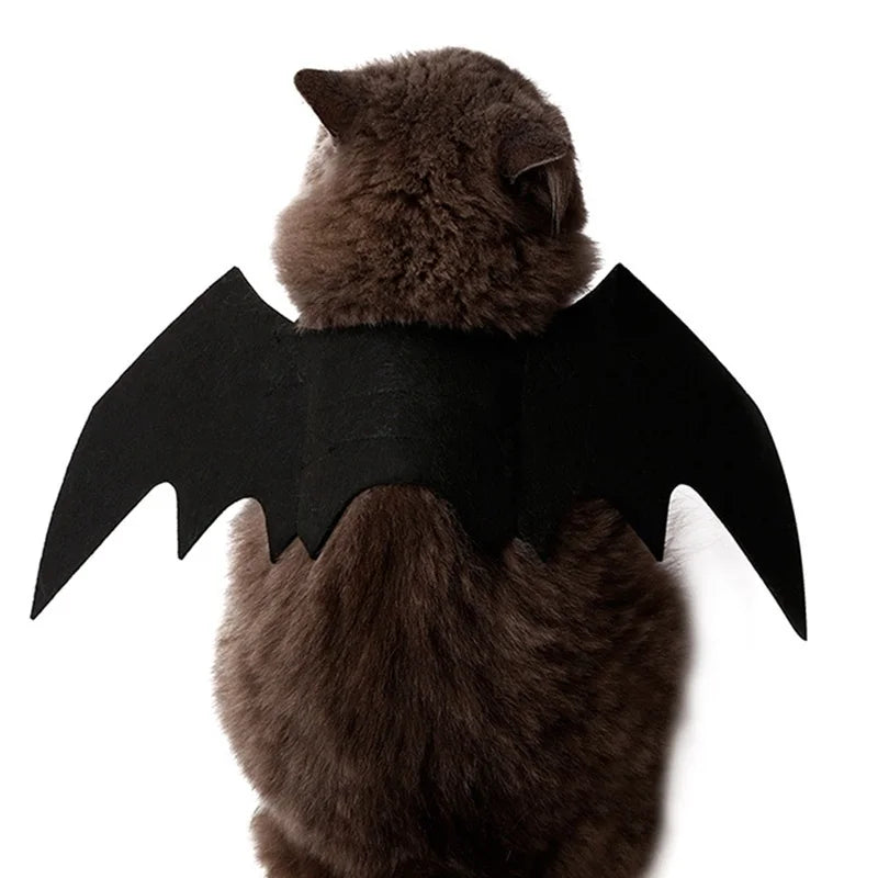 Halloween Bat Wings for Dogs