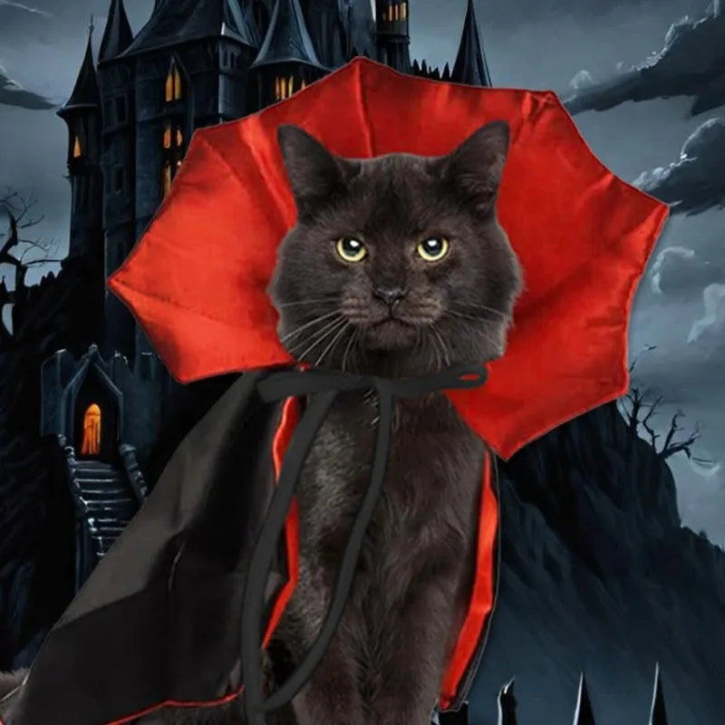 Halloween Vampire Cape for Dogs