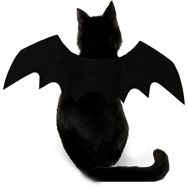 Halloween Bat Wings for Dogs