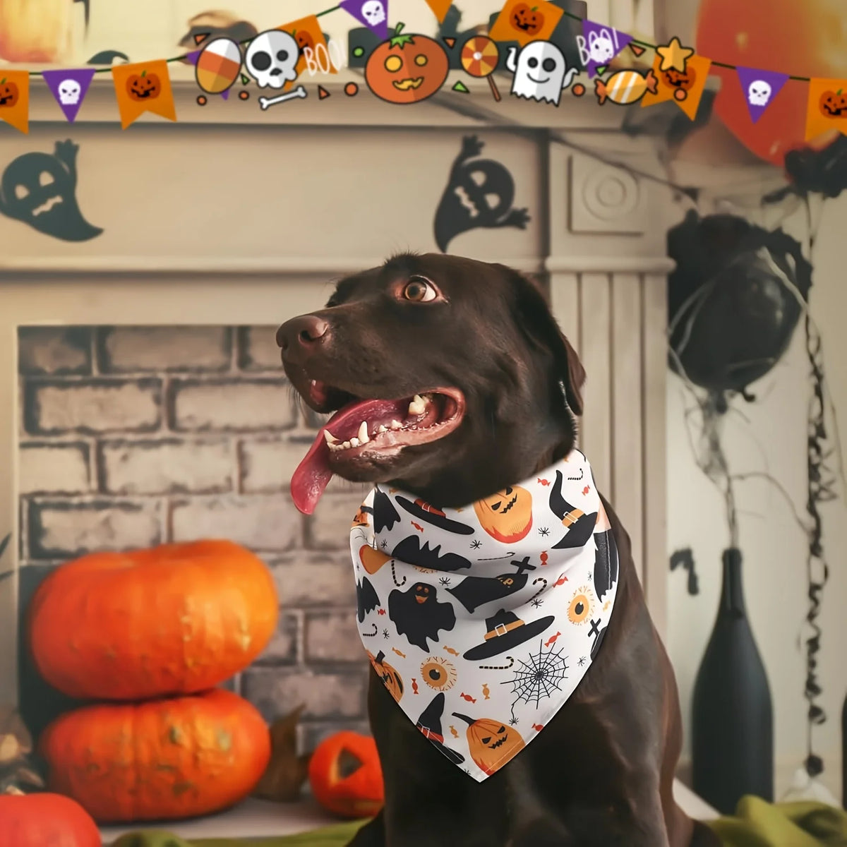 Halloween Dog Bandana 10-Pack