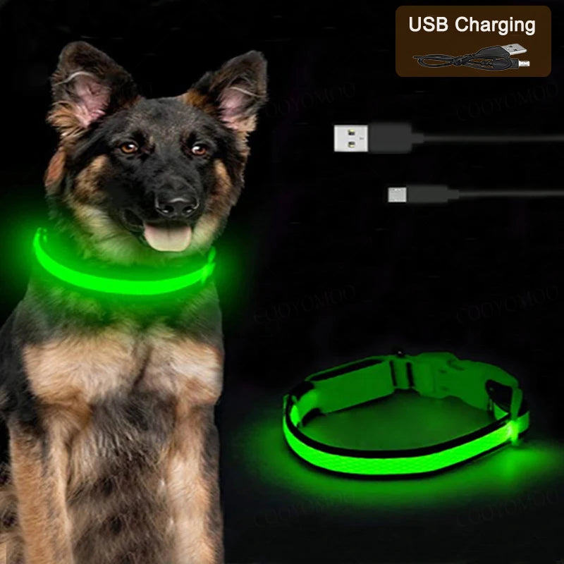 LED Light-Up Dog Collar