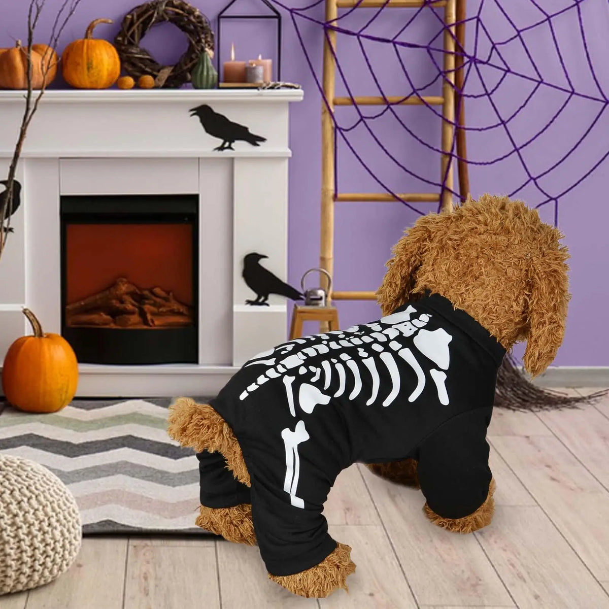 Halloween Dog Costume
