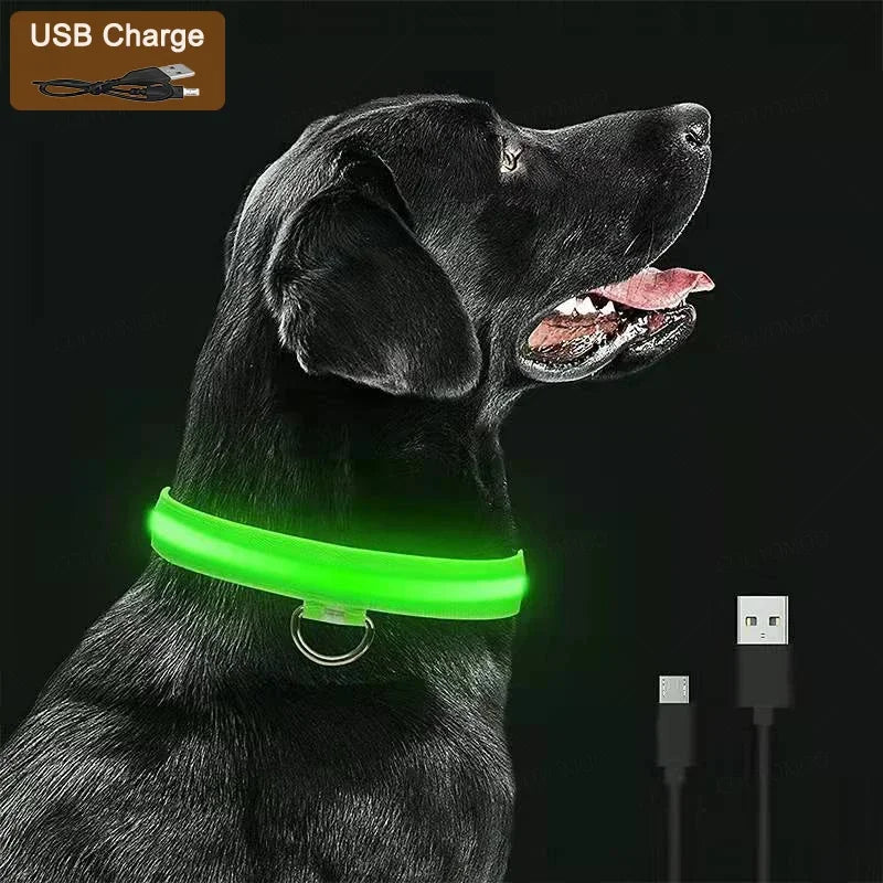 LED Light-Up Dog Collar