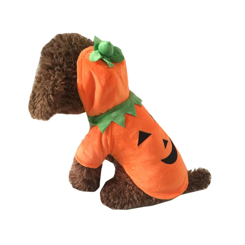Halloween Pumpkin Dog Hoodie