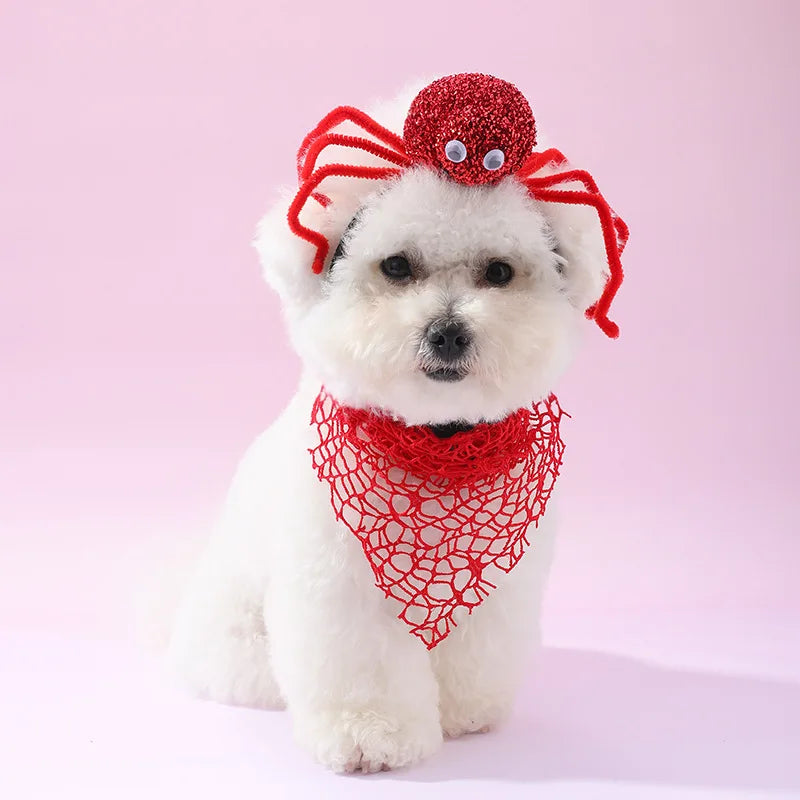 Halloween Spider Headband for Dogs