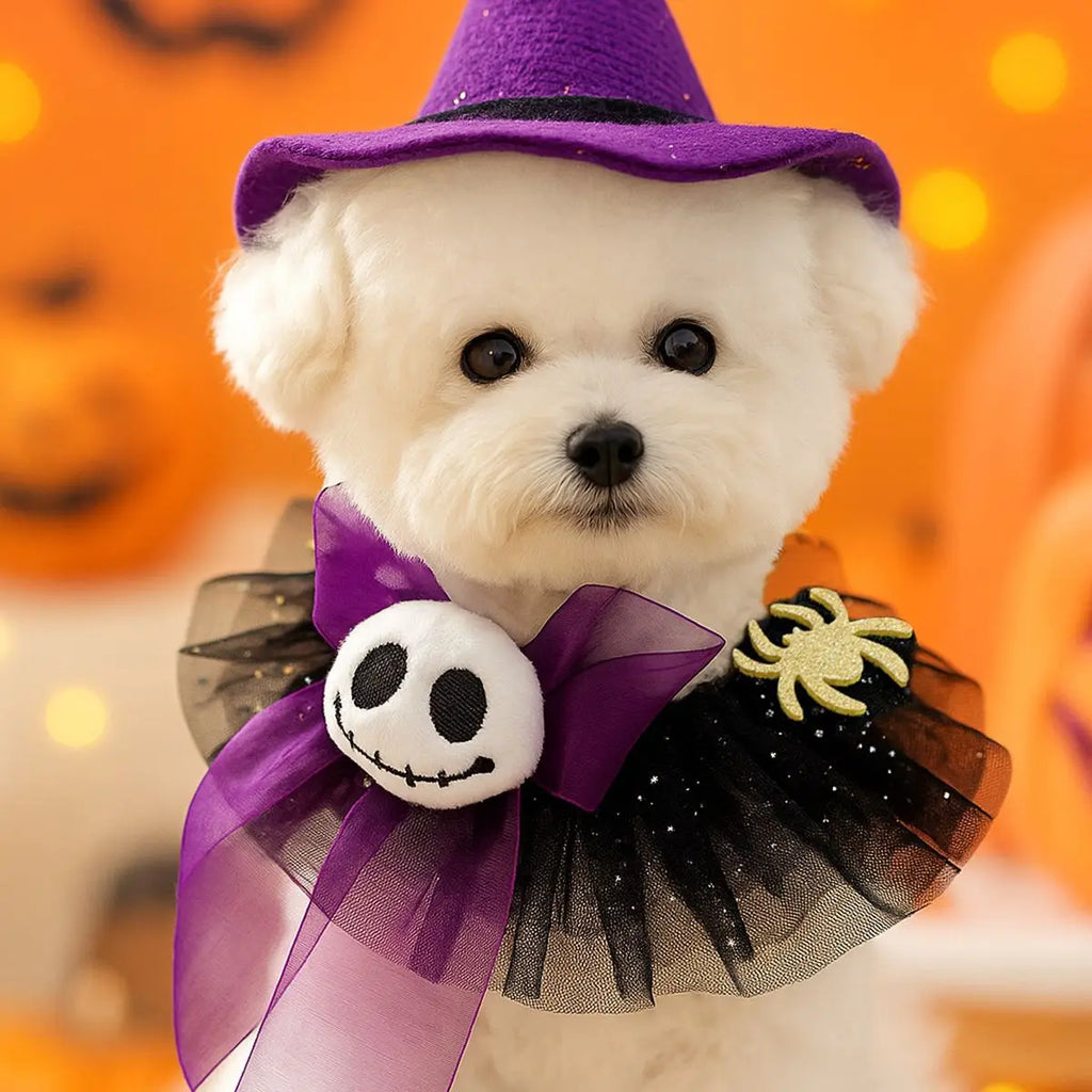 Halloween Knitted Dog Scarf