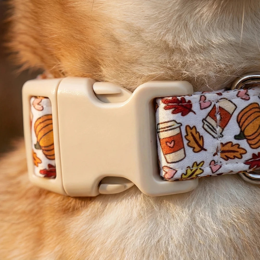 Halloween Pumpkin Dog Leash