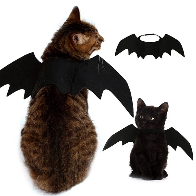 Halloween Bat Wings for Dogs