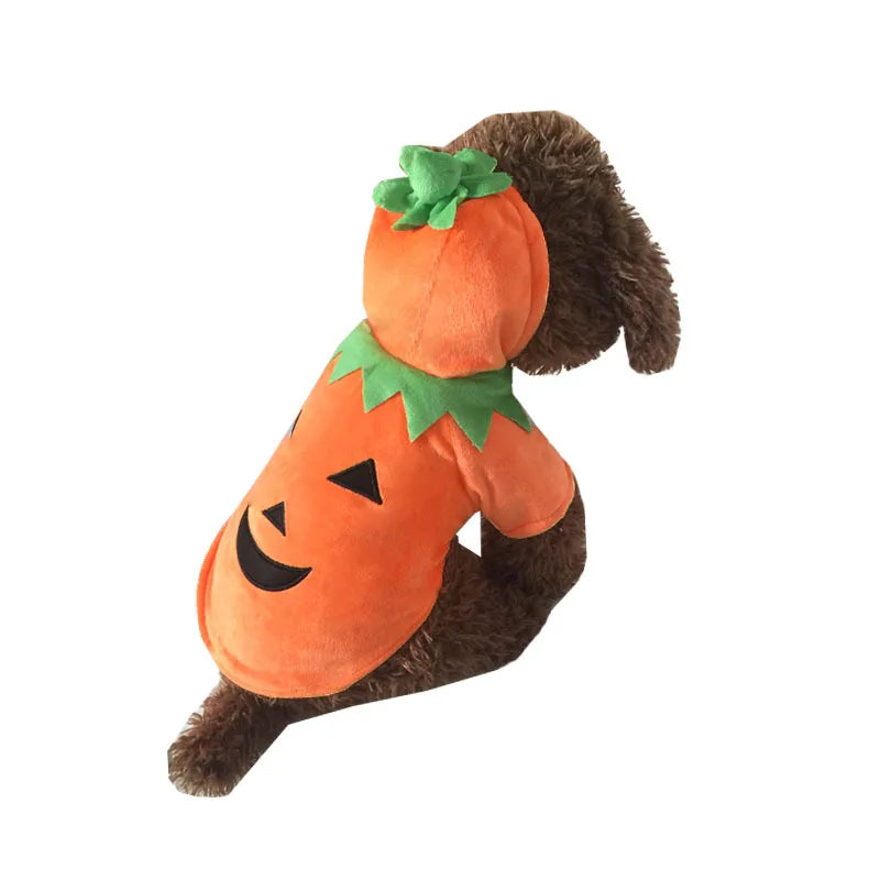 Halloween Pumpkin Dog Hoodie