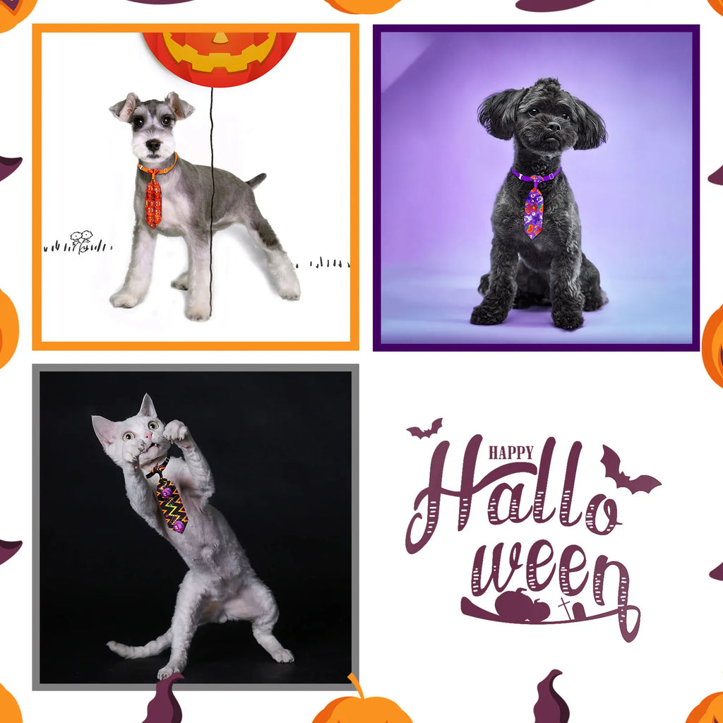 Halloween Dog Bow Tie 10-Pack