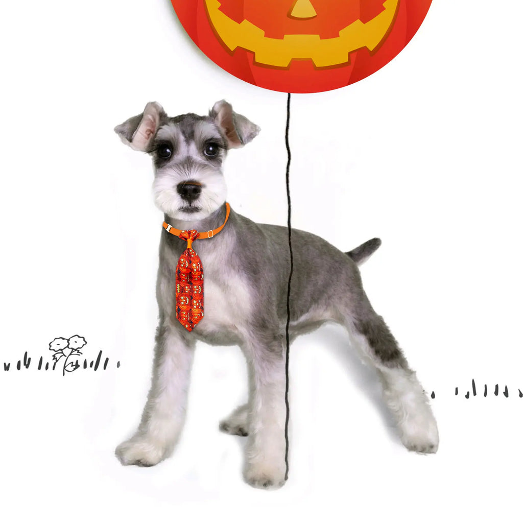 Halloween Dog Bow Tie 10-Pack