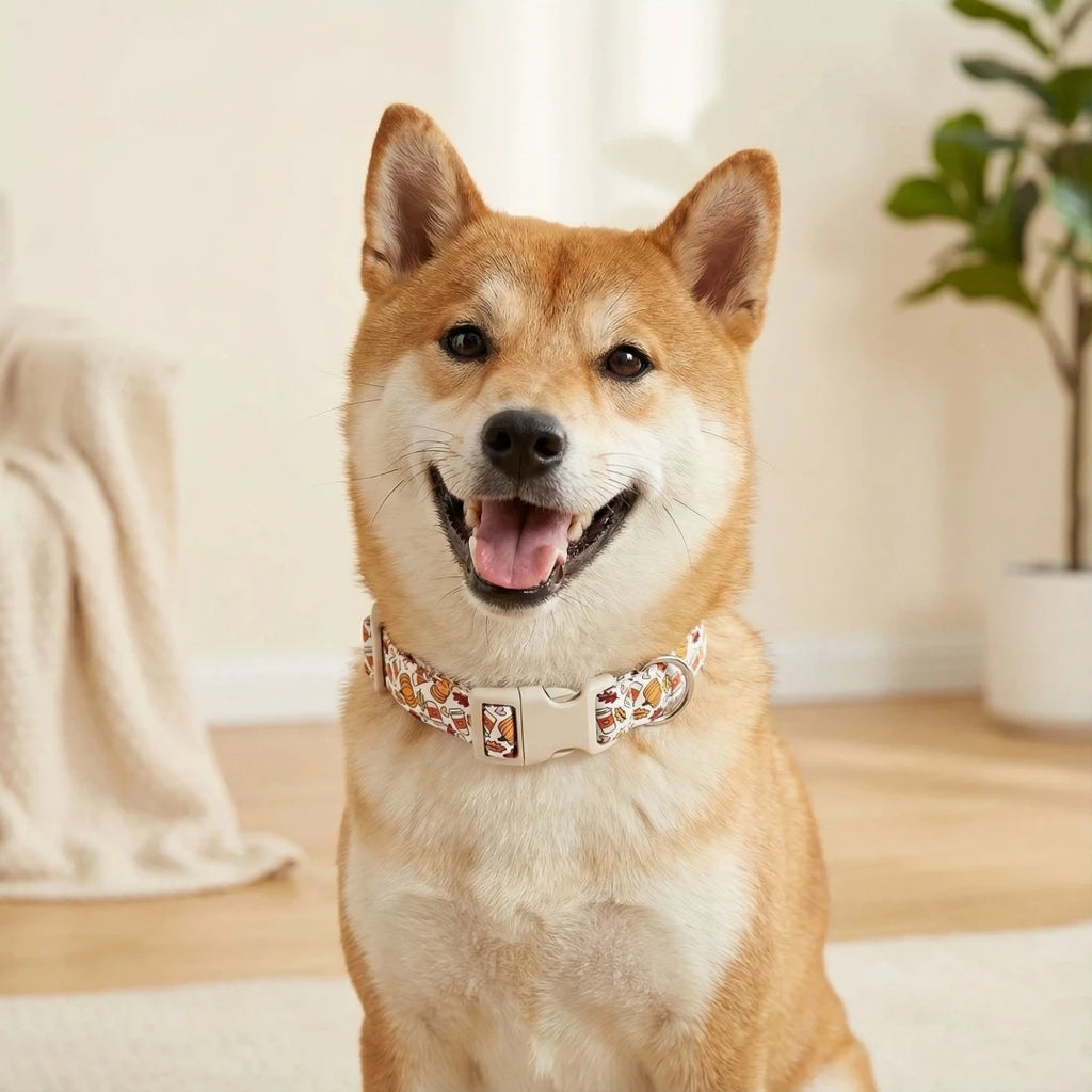 Halloween Pumpkin Dog Leash
