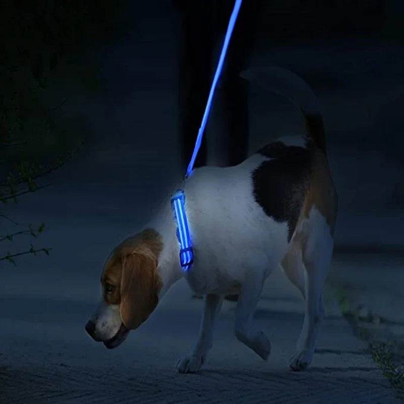 LED Light-Up Dog Collar