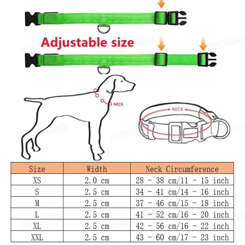 LED Light-Up Dog Collar