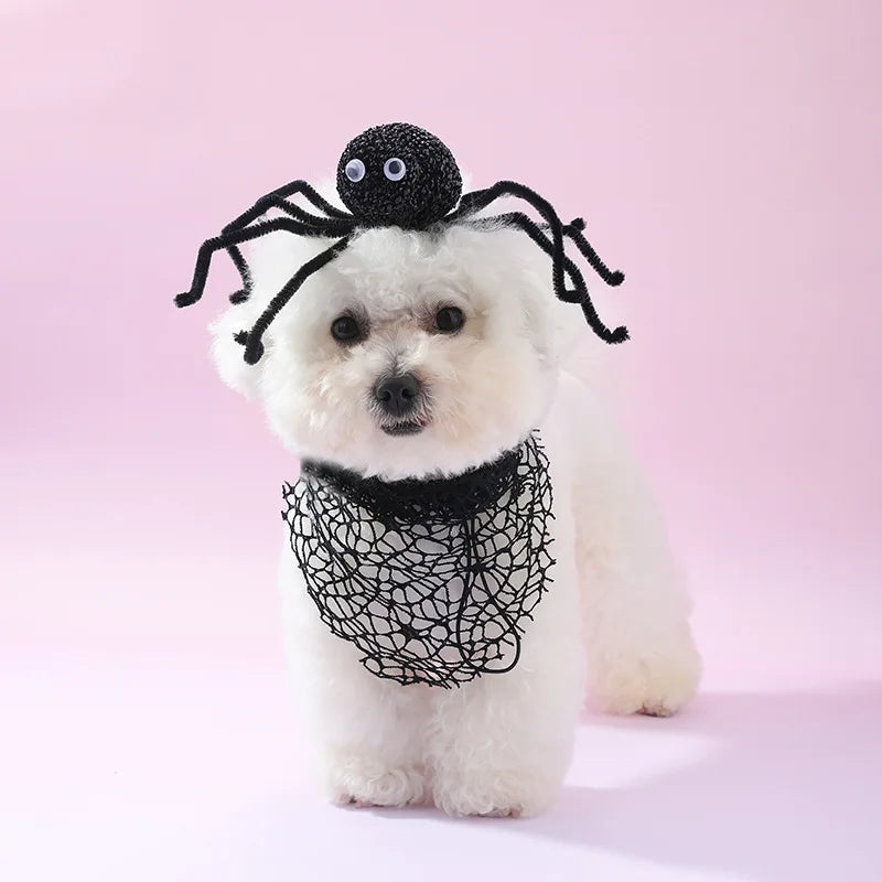 Halloween Spider Headband for Dogs