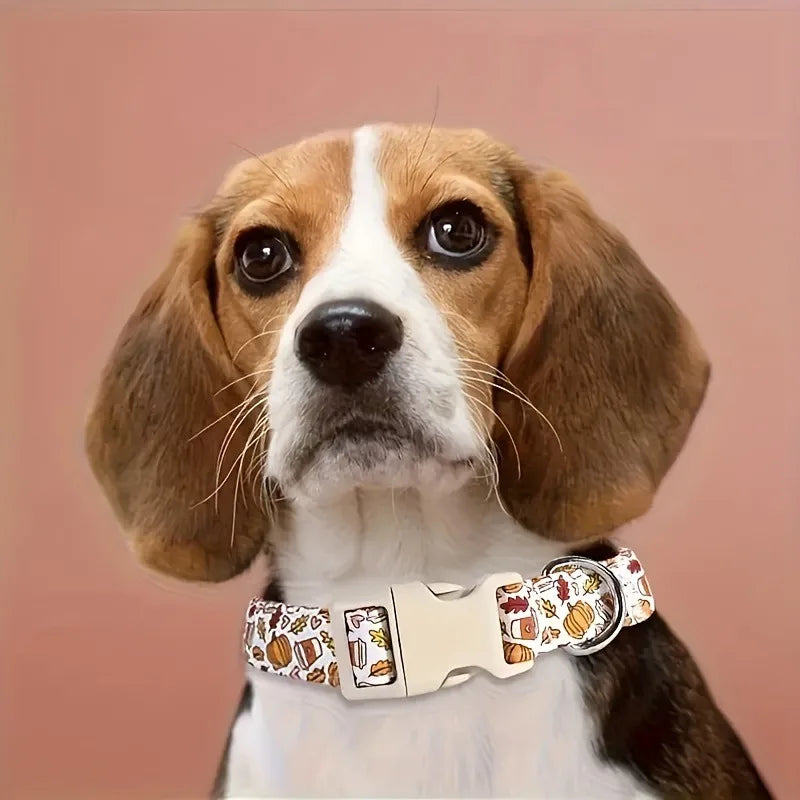Halloween Pumpkin Dog Leash