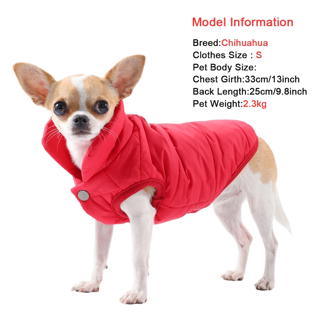 Winter Dog Jacket
