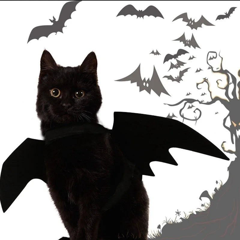 Halloween Bat Wings for Dogs