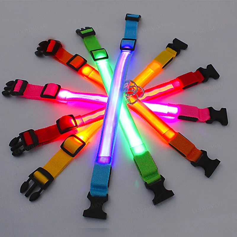 LED Light-Up Dog Collar