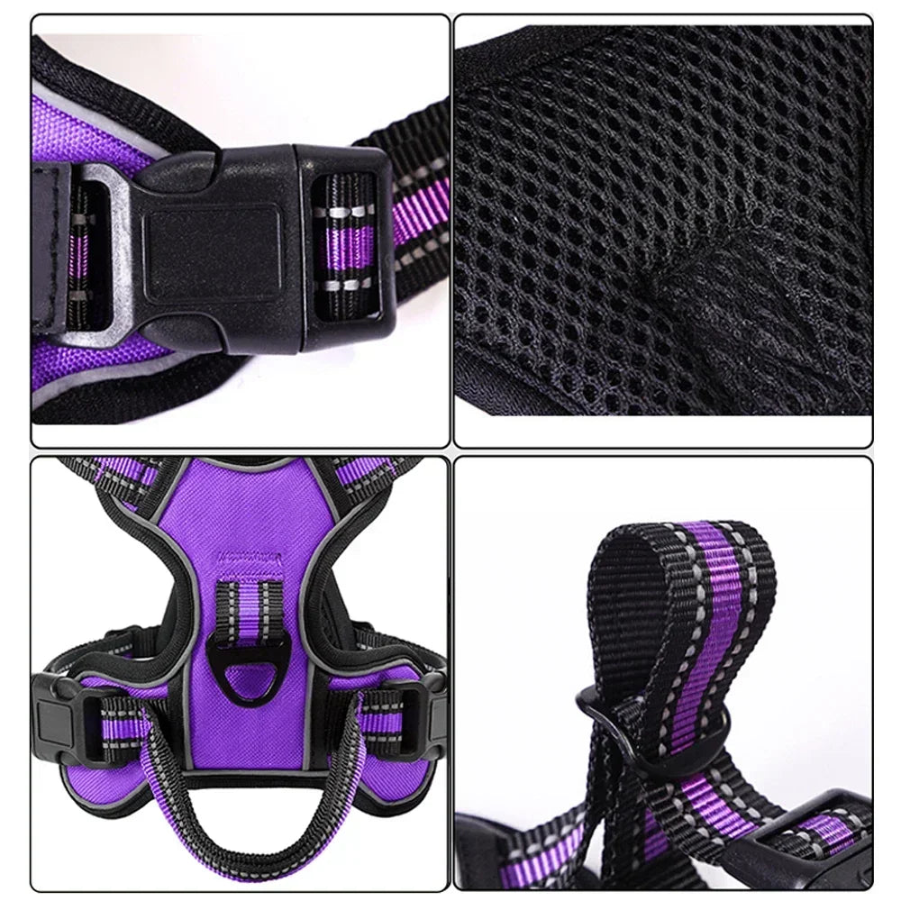 No-Pull Dog Harness + Leash Set