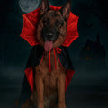 Halloween Vampire Cape for Dogs