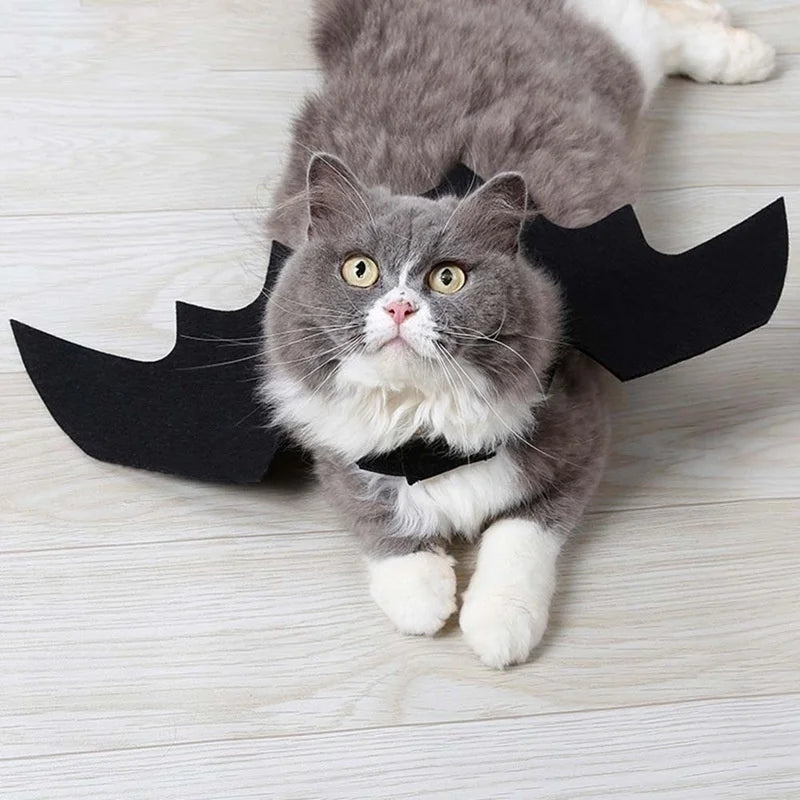 Halloween Bat Wings for Dogs