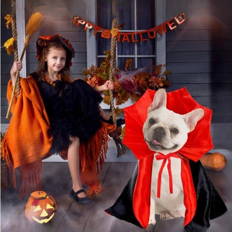 Halloween Vampire Cape for Dogs
