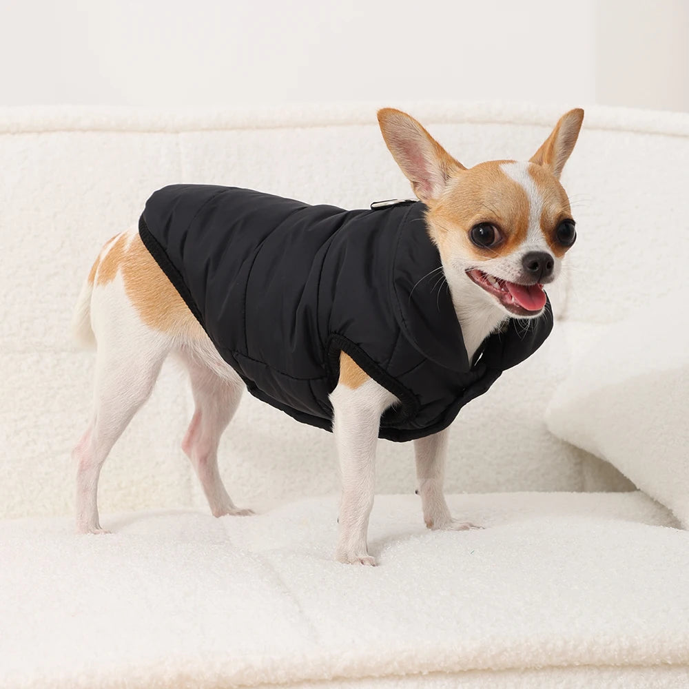 Winter Dog Jacket
