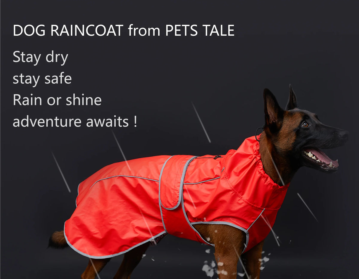 Waterproof Dog Raincoat