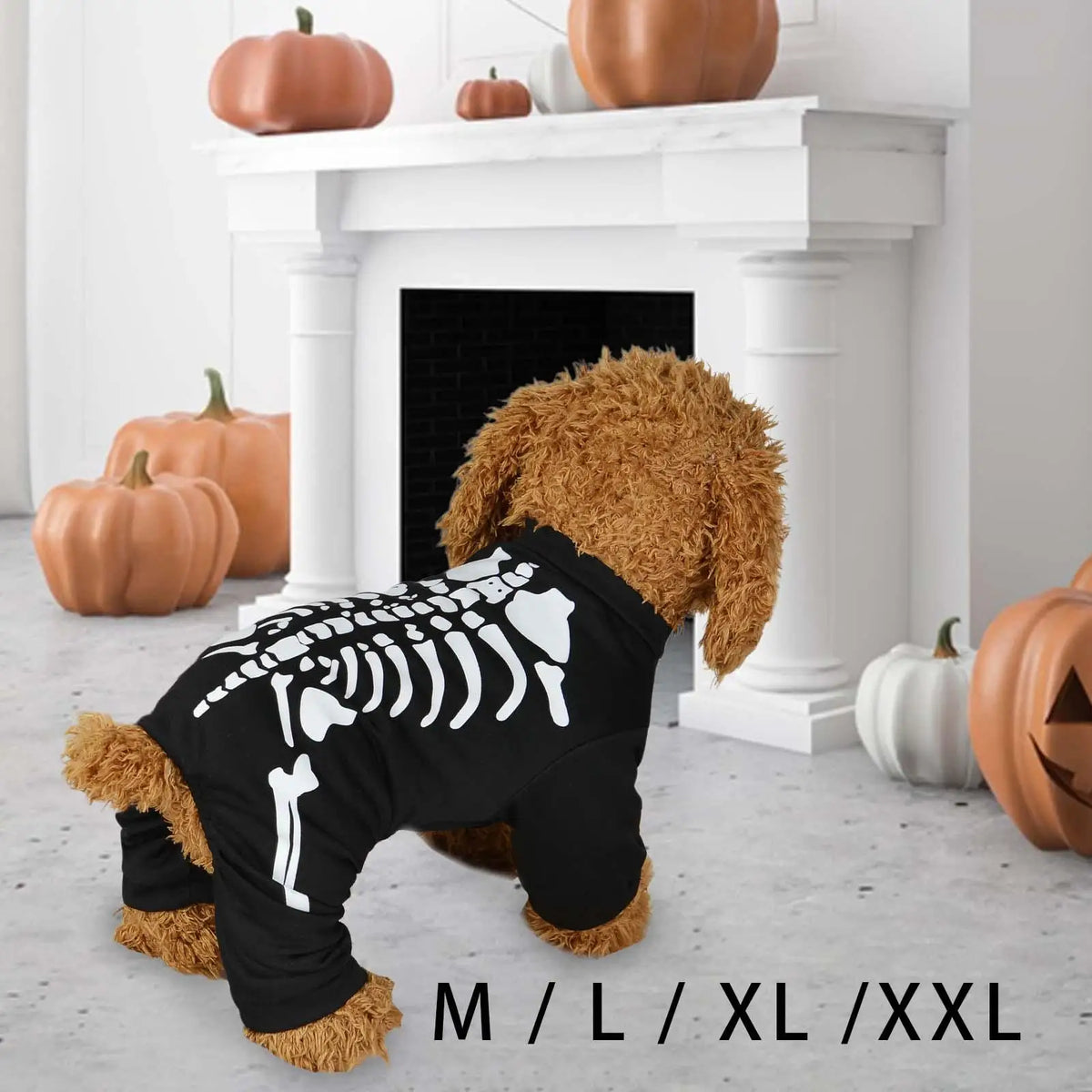 Halloween Dog Costume