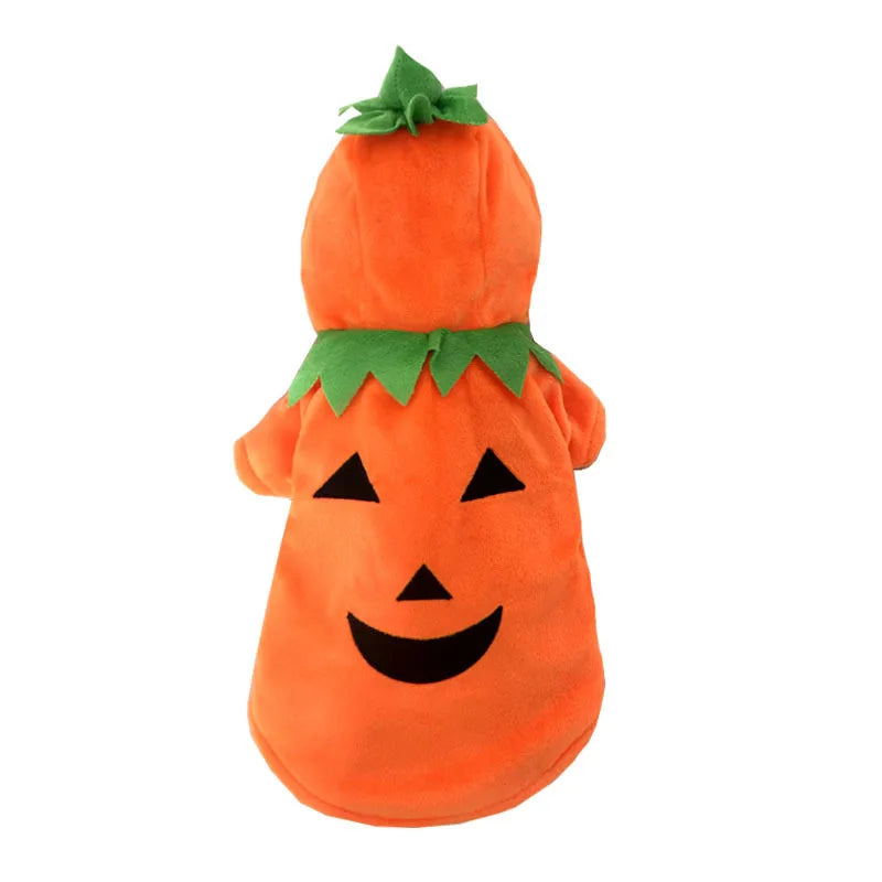 Halloween Pumpkin Dog Hoodie